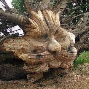 Meet your Posher, Rob